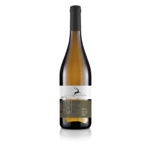 Ribolla Gialla di Rosazzo