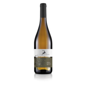 Sauvignon
